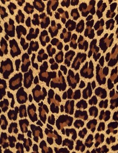 4B677A7E-7E5D-4C9F-8290-DCFDE722E237