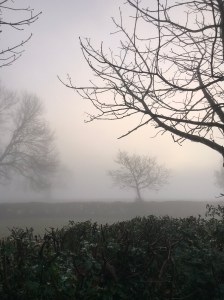 28AF0155-C5BF-4AAD-A12D-299CC81678E1